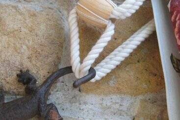 ホテル Posada Las Mayas