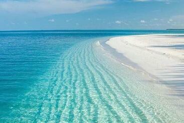 بنسيون B&b Butterfly