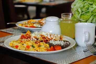 בית מלון כפרי Zar Culiacan