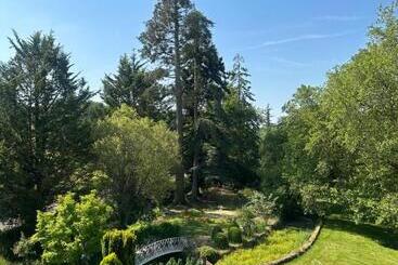 مبيت وإفطار Le Moulin De Francueil