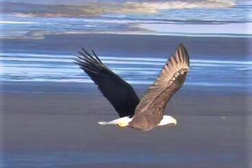 酒店 Chautauqua Resort & Conference Center