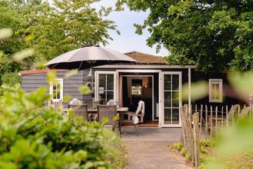 استراحتگاه Reggechalet 6 Persons Adjusted