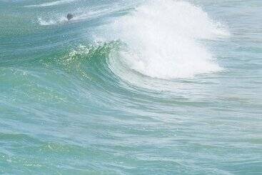 هتل Avoca Randwick By Sydney Lodges