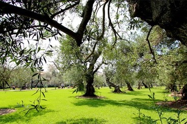 Manto Hotel Lima   Mgallery