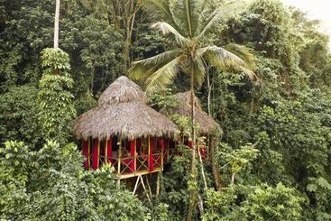 استراحتگاه Dominican Tree House Village