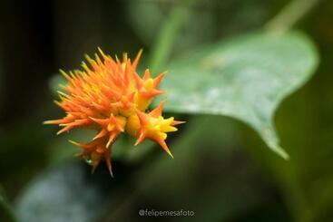 هتل Safio. Una Casa En El Paraiso