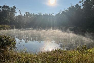 Machaan Plantation Resort, Sakleshpur