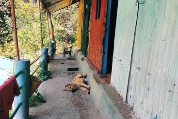 Ayoya Malana Resort  Shiva Cafe