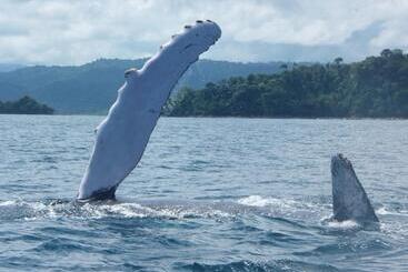 هتل Cabañas Refugio Salomon