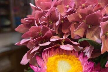 호텔 Zenner S Land