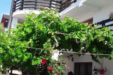 بنسيون Vila Liliana