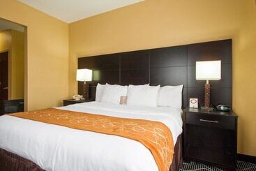 ホテル Comfort Suites Lake Ray Hubbard