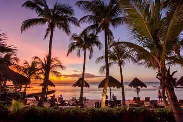 Beachfront Hotel La Palapa   Adults Only