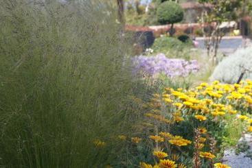 پانسیون Les Jardins De Santa Giulia   Charmante Chambre D Hôte