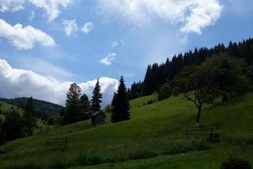 Pensiunea Casa Fierarul Din Bucovina