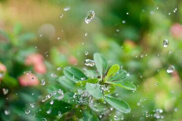 هتل Oceana Hills Residency