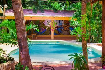 Casa De Los Pájaros B&b