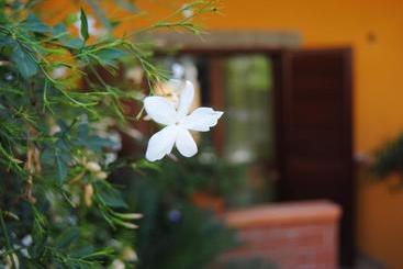 Residence Villa Il Glicine