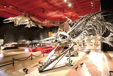 فندق Sunshine Iwaki