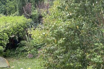 هتل Mas De Galoffre