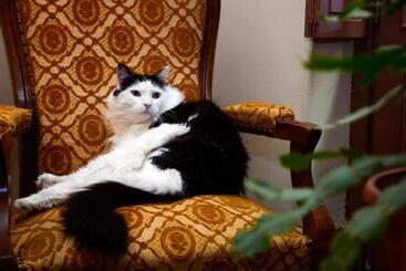 هتل Hôtel Héliot, Cosy Places By Charme & Caractère