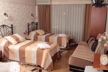 هتل Nezih Istanbul