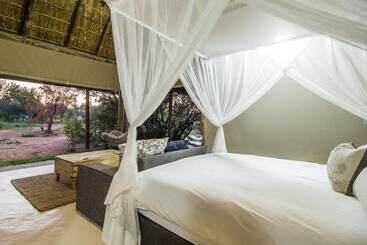 호텔 Lookout Safari Lodge