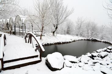 בית מלון כפרי Gabala Shooting Club