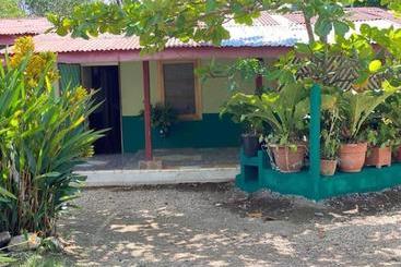 تختخواب و صبحانه Coco Verde