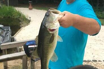 مبيت وإفطار The Guest House