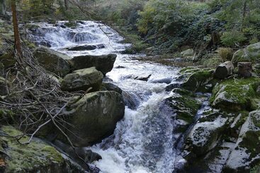 Altstadthotel Ilsenburg