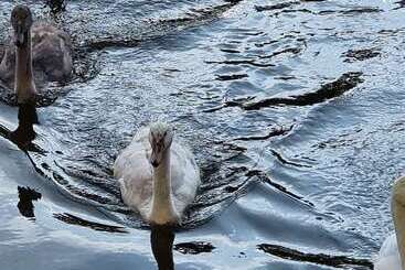 Altes Eishaus, Hotel & Restaurant