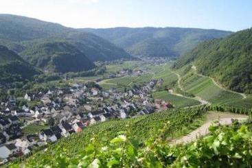 هتل Restaurant Zum Sänger An Der Ahr