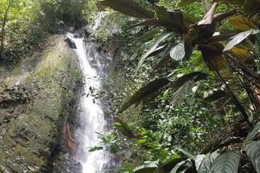 فندق Waterfall El Paraíso   Cabañas, Jacuzzi, Piscina Y Cascada En Medio De La Naturaleza