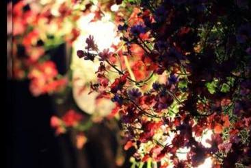 Panzió Guest House Baltika