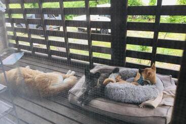 بنسيون Radish House