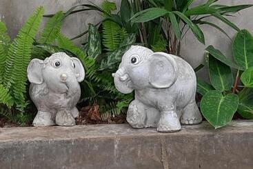 Hotel Fancy Carp Resort Hua Hin