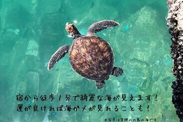 פנסיון Enishiba Seizira