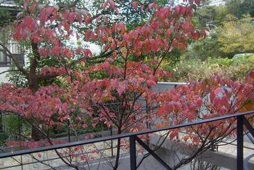 تختخواب و صبحانه Ah87 Osaka