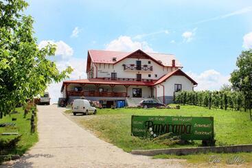Bed and Breakfast Panorama Cehu Silvaniei