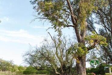 فندق Schaftplaas Cottages