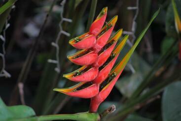 Пансион Hostal Casa Del Río