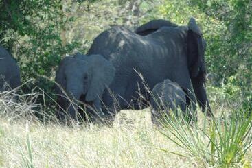 פנסיון Idc Guest House