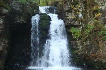 Pensiunea Adi Sapinta