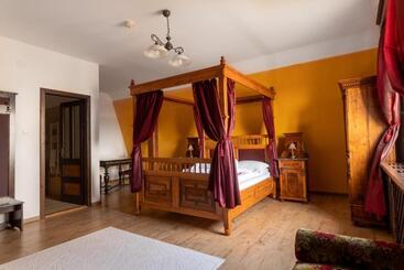 Отель Conacul Nagy