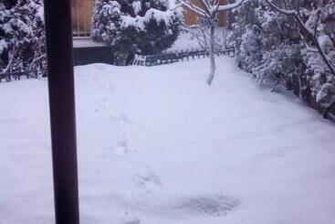 ホテル Snow King Retreat Himalayan View , Revolving Restaurant , Pinewood Cottages , Huts , Villas , Rooms