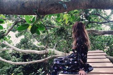 פנסיון 手広beachbackpackers