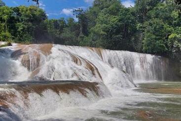 펜션 Posada Tzeltal