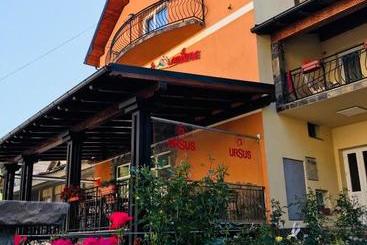 Pensiunea Montana Borșa Mm