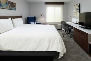 فندق Hilton Garden Inn Baton Rouge Airport